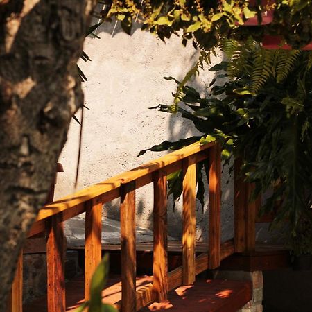 Casa Rustica Villa อัทลิซโก ภายนอก รูปภาพ