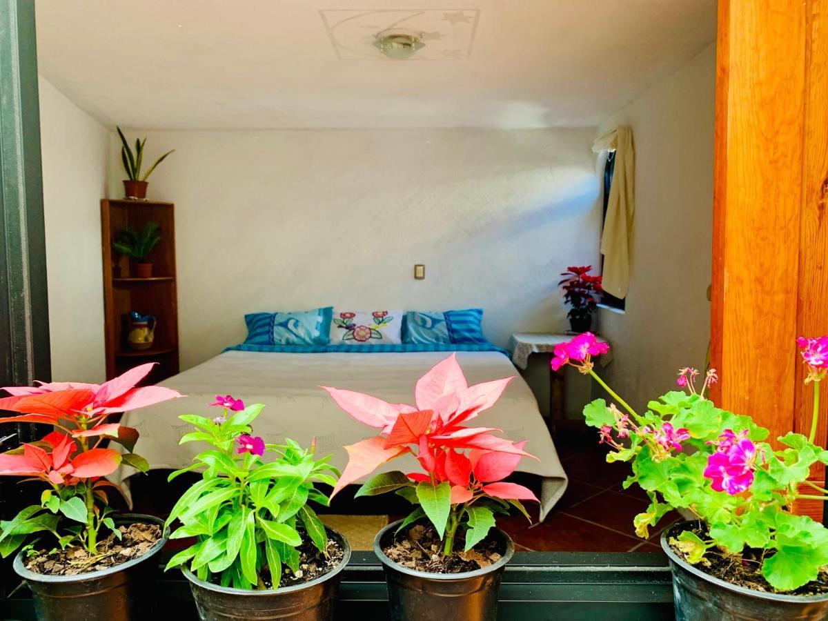 Casa Rustica Villa อัทลิซโก ภายนอก รูปภาพ